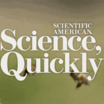 Scientists Are Beginning to Learn the Language of Bats and Bees Using AI