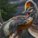 ‘Weird’ Dinosaur Prompts Rethink of Hen Evolution