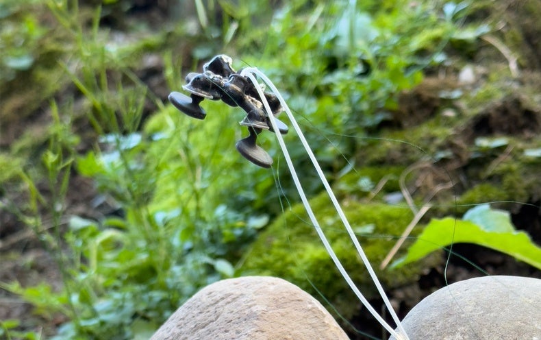 This Insect-Sized Robot Can Carry 22 Moments Its Personal Bodyweight