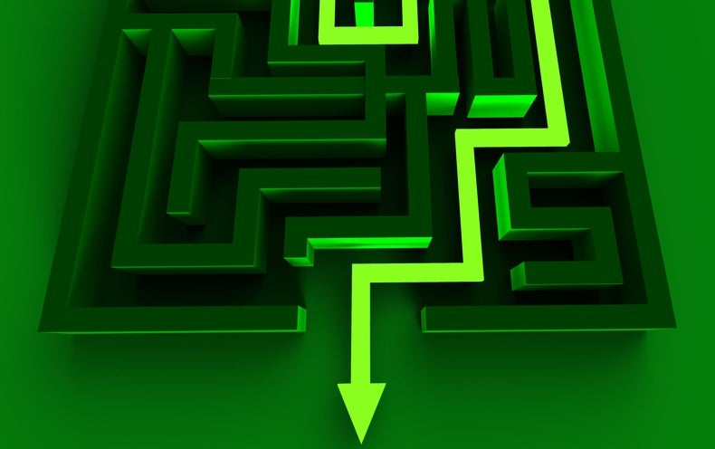 To Transfer Rapidly, Quantum Maze Solvers Should Forget the Previous