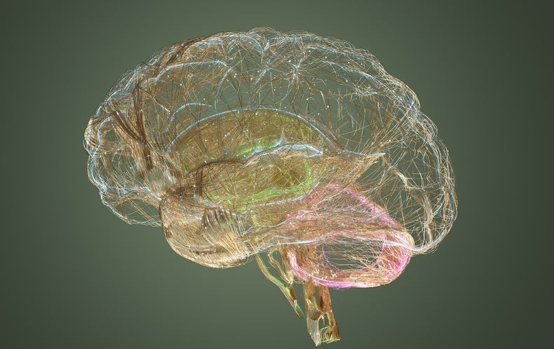 Seeking to Practice Your Brain A lot quicker? Being aware of This May well Support With That
