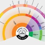 See How People about the Earth Commit the 24 Hrs in a Working day