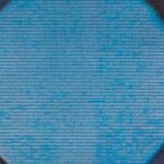 Record: Oct 2023 – Scientific American