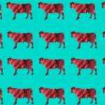 Does Humanity Have to Take in Meat?