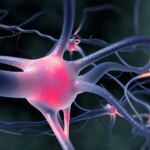 The Secret At the rear of Idiopathic Hypersomnia