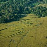 10,000 Pre-Columbian Structures Could Be Concealed beneath Amazon Rain Forest
