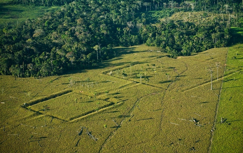 10,000 Pre-Columbian Structures Could Be Concealed beneath Amazon Rain Forest