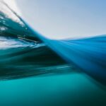 These Strange Products Could Crank out Electric power from Ocean Waves