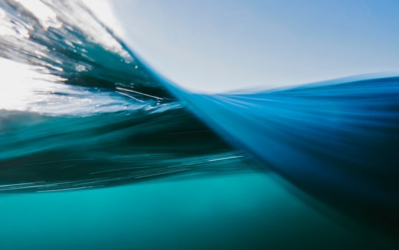 These Strange Products Could Crank out Electric power from Ocean Waves