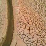 We Are Racing Towards Earth’s Catastrophic Tipping Factors