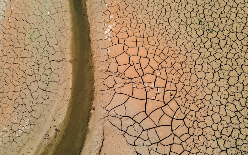 We Are Racing Towards Earth’s Catastrophic Tipping Factors