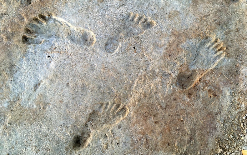 Historic Footprints Affirm Persons Lived in the Americas Much more than 20,000 Years Back