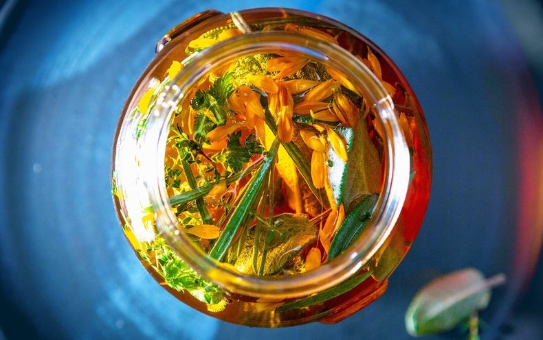 Historical Honey-and-Vinegar Combo Could Basically Address Infected Wounds