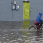 ‘Climate Gentrification’ Will Displace A person Million Individuals in Miami On your own
