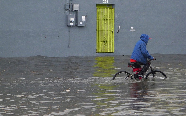 ‘Climate Gentrification’ Will Displace A person Million Individuals in Miami On your own