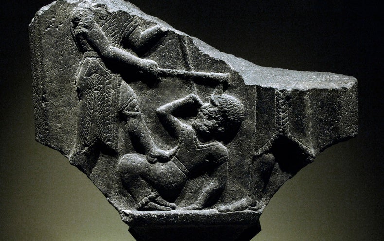 Historic Skulls Reveal Shifts in Human Violence throughout Millennia