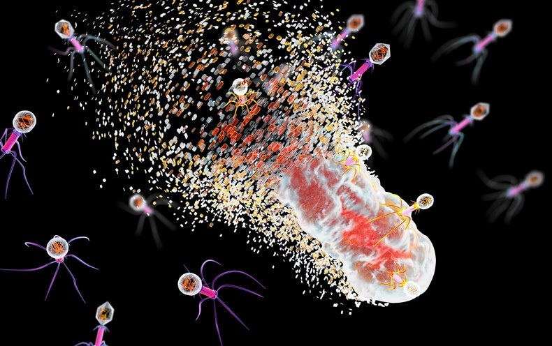 Dangerous ‘Superbugs’ Are on the Rise. What Can Stop Them?