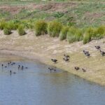 Depleted Groundwater Could Be Refilled by Borrowing a Trick from Solar Ability