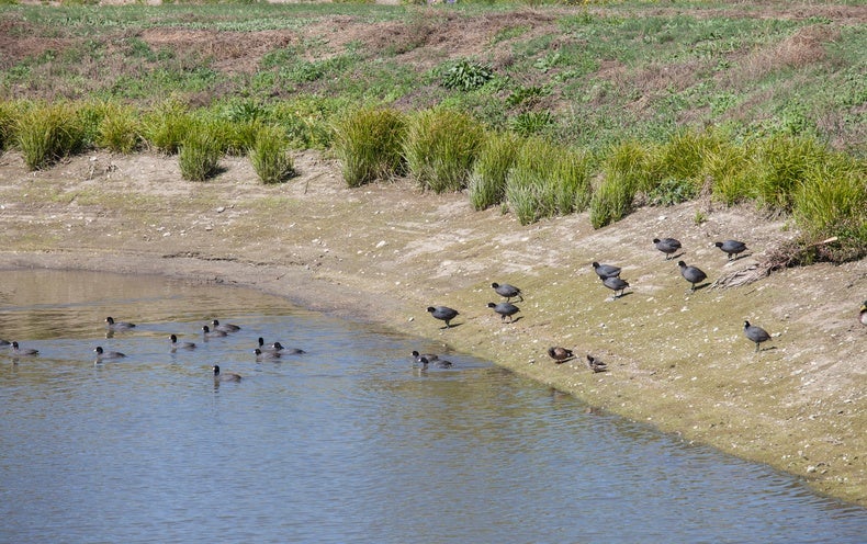 Depleted Groundwater Could Be Refilled by Borrowing a Trick from Solar Ability