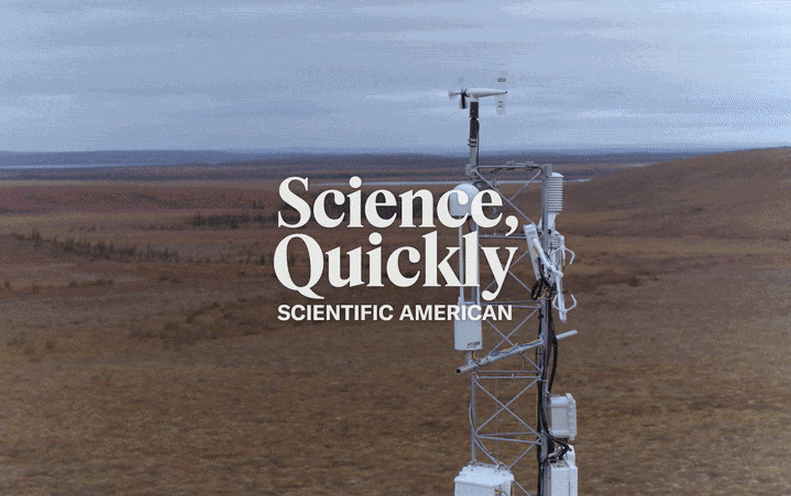 A Soggy Mission to Sniff Out a Greenhouse Gasoline ‘Bomb’ in the Large Arctic