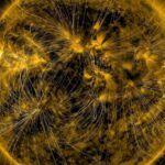 The Sun’s Magnetic Poles Are Vanishing