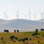 Wind Power Will Grow with Much larger Turbines but Could Confront Pushback