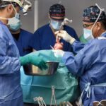 Milestone Pig-to-Human Coronary heart Transplant Might Pave the Way for Broader Trial