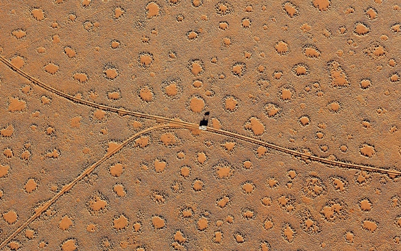 Countless numbers Far more Puzzling ‘Fairy Circles’ Have Been Identified about the Planet