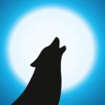 What Happens to a Werewolf on the Moon?