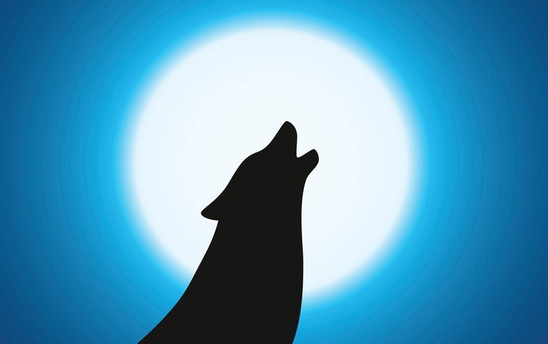 What Happens to a Werewolf on the Moon?