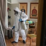Bed Bugs and Influencers Spark Pest Panic in Paris. Here’s What You Require to Know