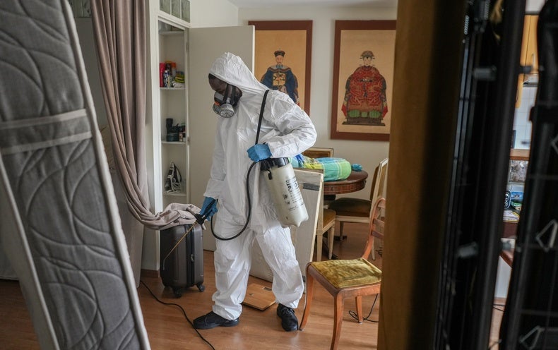 Bed Bugs and Influencers Spark Pest Panic in Paris. Here’s What You Require to Know