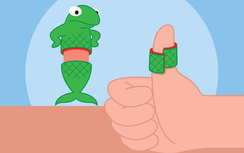 Fish Skin Can Recover Other Animals’ Eye Injuries