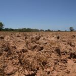 South America’s Wintertime Scorching Spell Was 100 Times Additional Probable with Local weather Modify