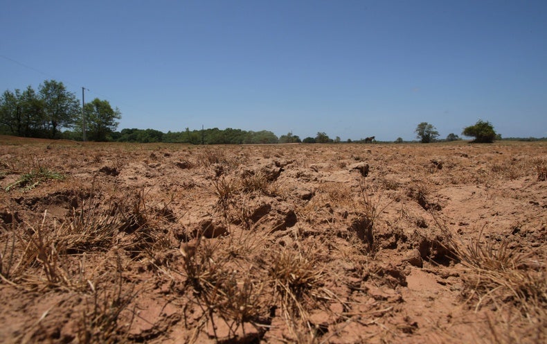 South America’s Wintertime Scorching Spell Was 100 Times Additional Probable with Local weather Modify