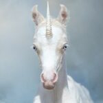 A Married Bachelor Proves That Unicorns Exist