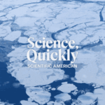 As Arctic Sea Ice Breaks Up, AI Is Commencing to Predict Wherever the Ice Will Go
