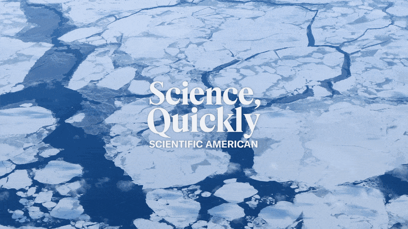 As Arctic Sea Ice Breaks Up, AI Is Commencing to Predict Wherever the Ice Will Go