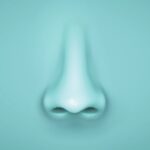 Device Discovering Results in a Large Map of Smelly Molecules