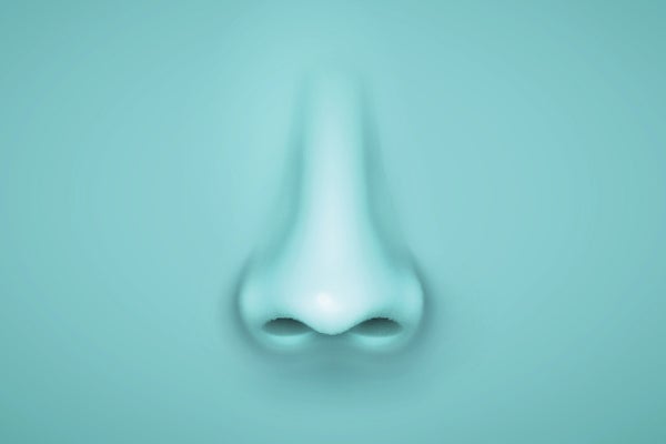 Device Discovering Results in a Large Map of Smelly Molecules