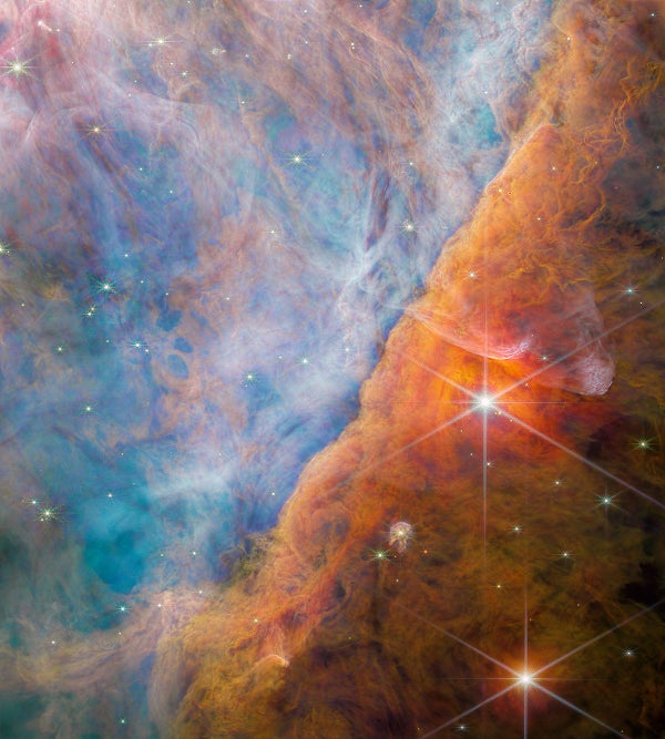 The Science to Be Grateful for This Yr