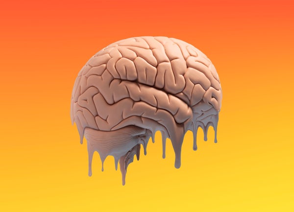Local climate Alter is Disrupting Animals’ Brains. This is How