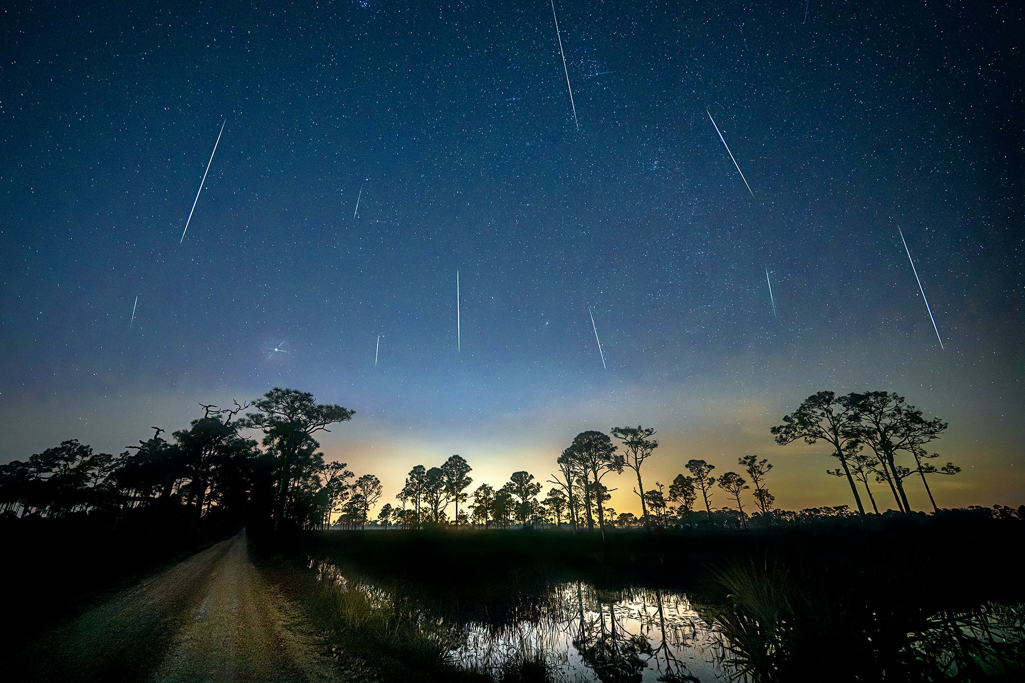 Leonid and Geminid Meteor Showers Bring Bonanza before Year’s Finish