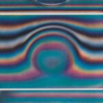 Historical past: November 2023 – Scientific American