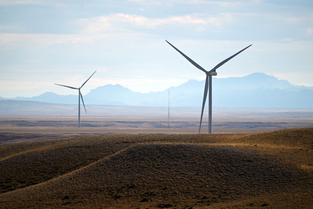 U.S. Carbon Emissions Established to Tumble Once again, a Essential Indicator of Progress