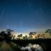Leonid and Geminid Meteor Showers Bring Bonanza before Year’s Finish