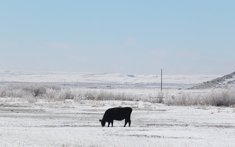 Can You Have faith in Farmers’ Almanacs’ Weather Predictions?