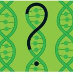 Mapping the ‘Unknome’ May perhaps Expose Essential Genes Scientists Have Ignored