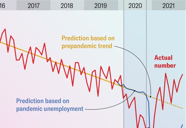 COVID Brought on a Toddler Bump when Industry experts Predicted a Fall. This is Why
