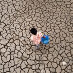 Prosperous International locations Owe Far more Than Ever in Weather Adaptation Funding